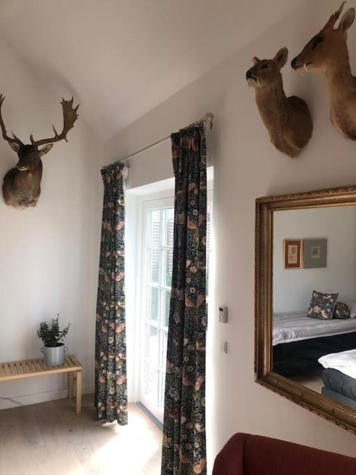 Cozy, Quiet Guest House Perfect For Business Or Pleasure Hillerød Esterno foto
