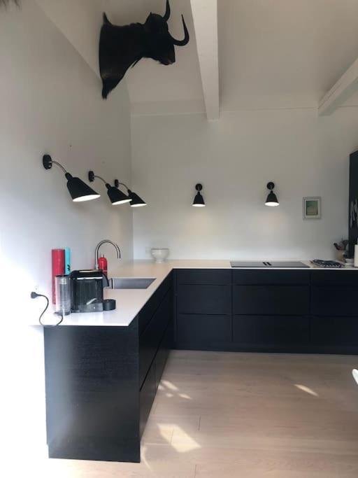 Cozy, Quiet Guest House Perfect For Business Or Pleasure Hillerød Esterno foto