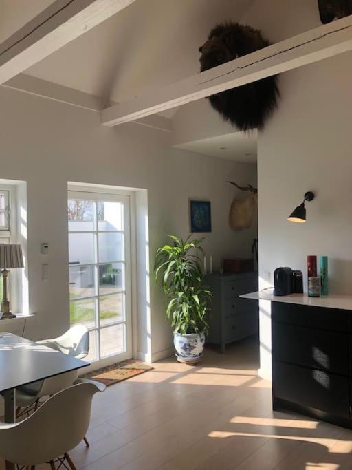 Cozy, Quiet Guest House Perfect For Business Or Pleasure Hillerød Esterno foto