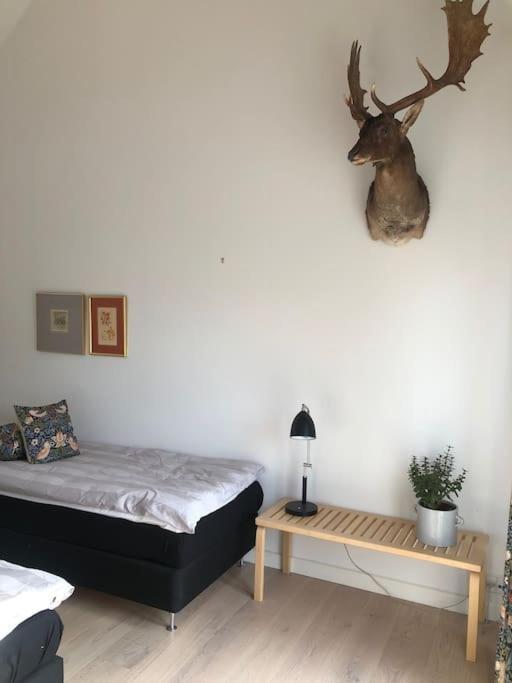 Cozy, Quiet Guest House Perfect For Business Or Pleasure Hillerød Esterno foto