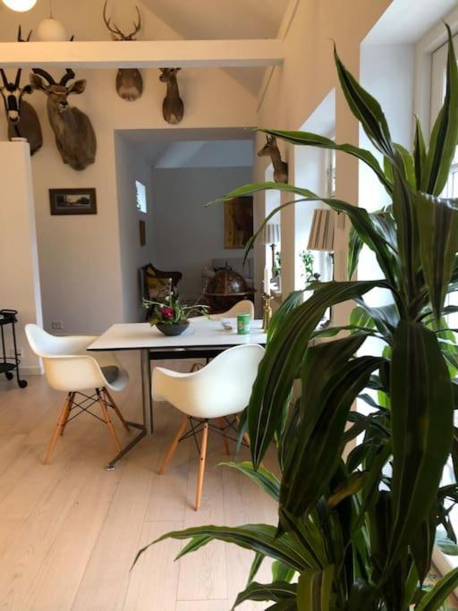 Cozy, Quiet Guest House Perfect For Business Or Pleasure Hillerød Esterno foto