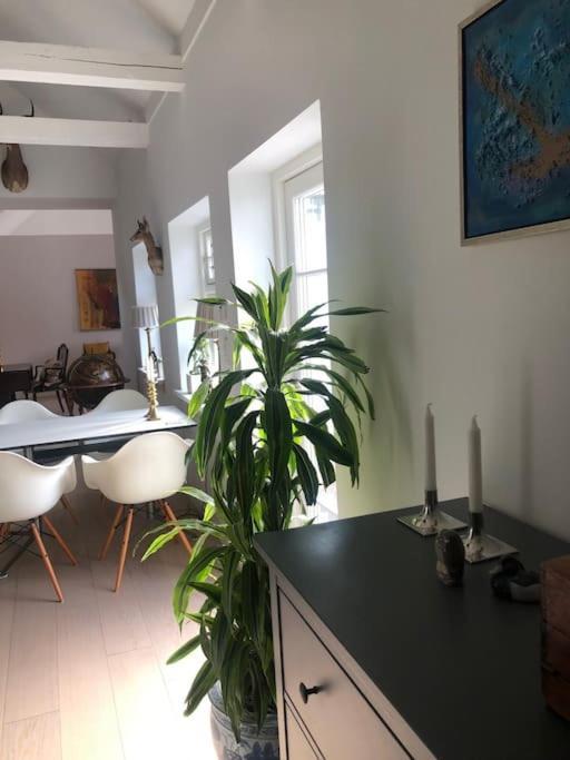 Cozy, Quiet Guest House Perfect For Business Or Pleasure Hillerød Esterno foto