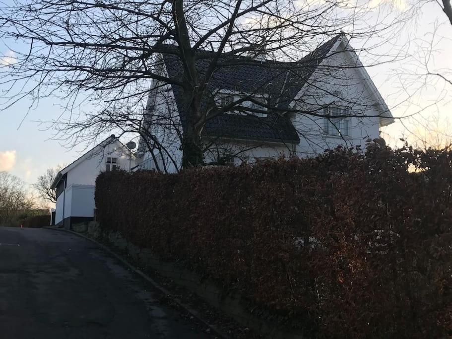 Cozy, Quiet Guest House Perfect For Business Or Pleasure Hillerød Esterno foto