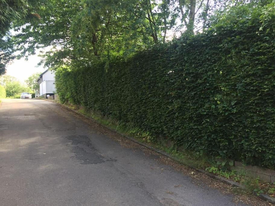 Cozy, Quiet Guest House Perfect For Business Or Pleasure Hillerød Esterno foto