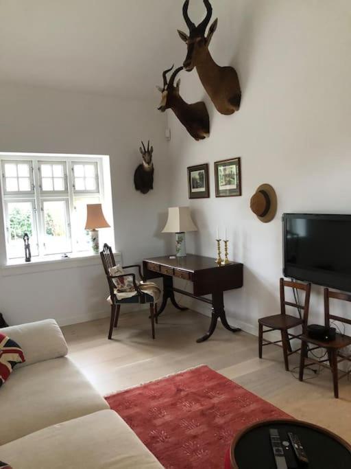 Cozy, Quiet Guest House Perfect For Business Or Pleasure Hillerød Esterno foto